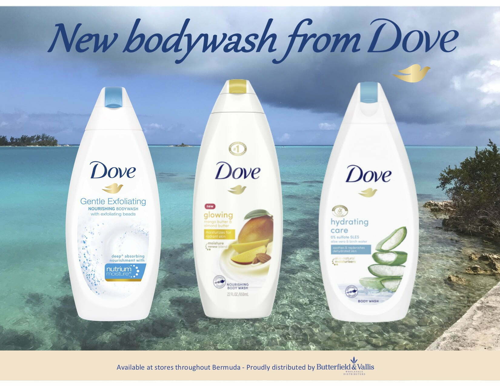 New Dove body wash copy