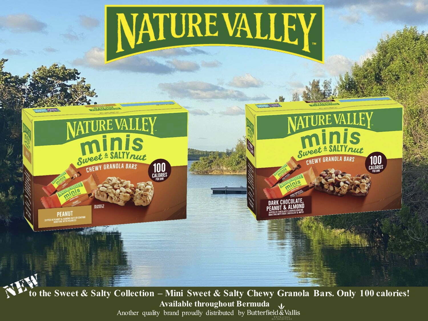 Nature Valley minis copy