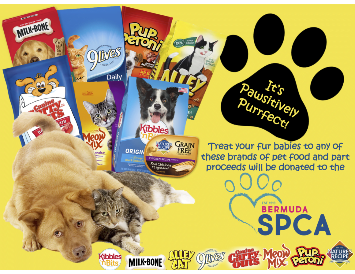 Help support the SPCA Help support the SPCA