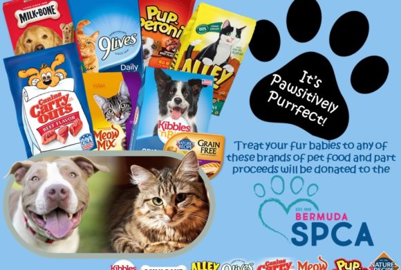 HELP SUPPORT THE SPCA…IT’S PAWSITIVELY PURRFECT!