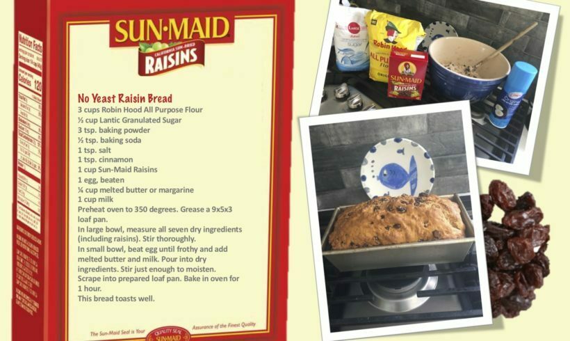 NO YEAST RAISIN BREAD NO YEAST RAISIN BREAD