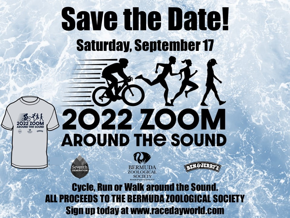 Save the date Zoom around the Sound
