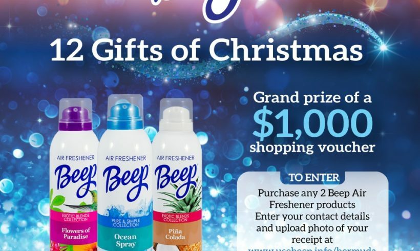 12 GIFTS OF CHRISTMAS WITH BEEP