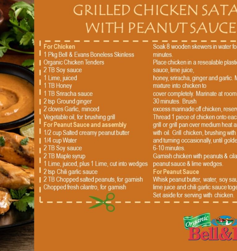 BELL & EVANS GRILLED CHICKEN SATAY WITH PEANUT SAUCE